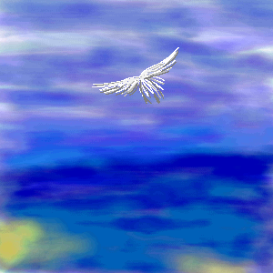 に飛ぶ鳥(しぃ)